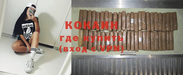 стафф Ладушкин