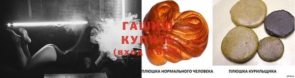 стафф Ладушкин