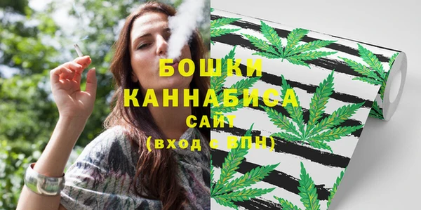 Альфа ПВП Кулебаки
